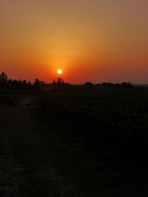 L Escale Des Vignes Gite Proche Saint Emilion Chateau Beynat Villa Dış mekan fotoğraf